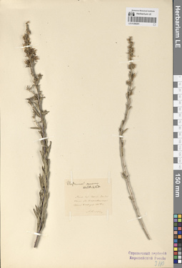 LE 01290201