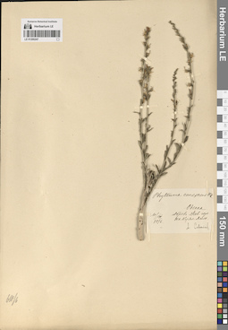 LE 01290247