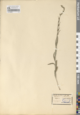 LE 01290254