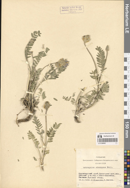 LE 01286983
