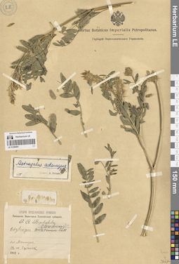 LE 01286991