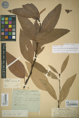 LE 01070766