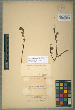 LE 01044750