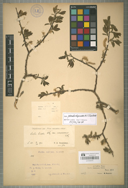 LE 01044751