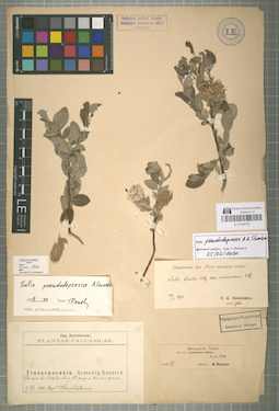 LE 01044752