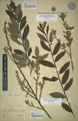 LE 01065620