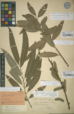 LE 01070779