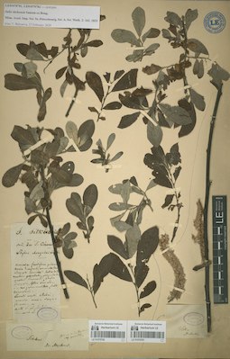 LE 01070782