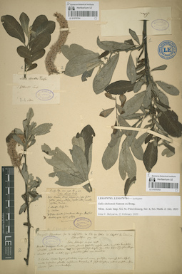 LE 01070784