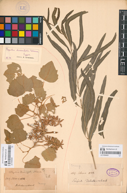 LE 01064430