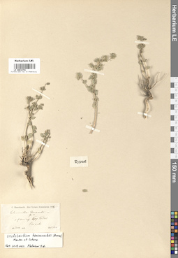LE 00016791