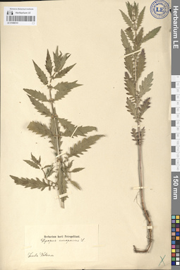 LE 01099741