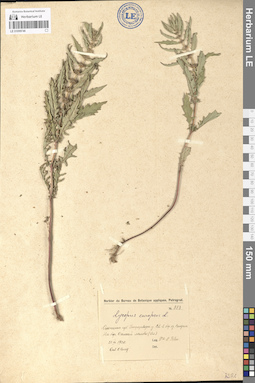 LE 01099746