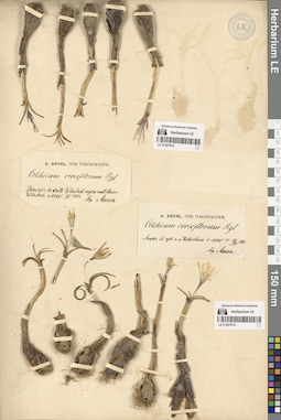 LE 01297014