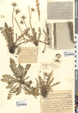 LE 01257486