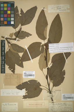 LE 01070764