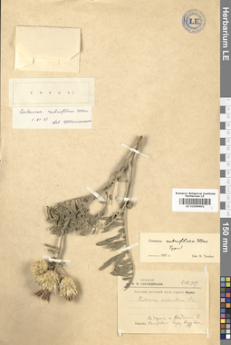 LE 01009601