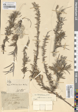 LE 01070833
