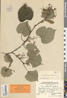 LE 01057414
