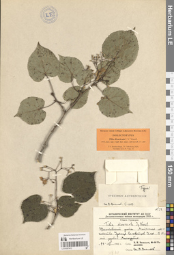 LE 01057413