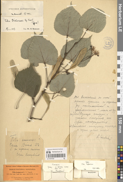 LE 01057420