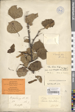 LE 01057430