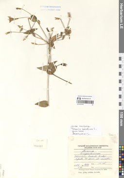 LE 01277012