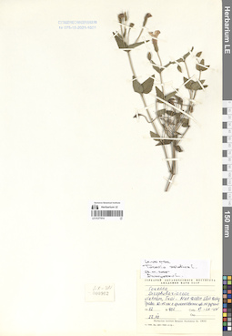 LE 01277014