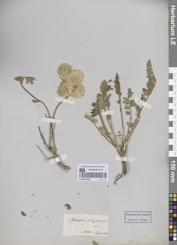 LE 01051602