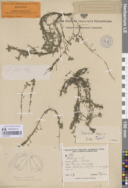 LE 01057377