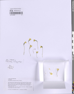 LE 01232948