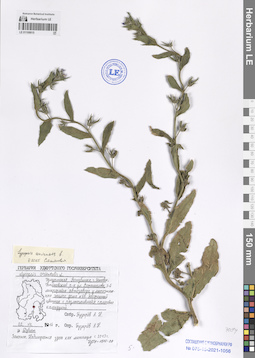 LE 01108815