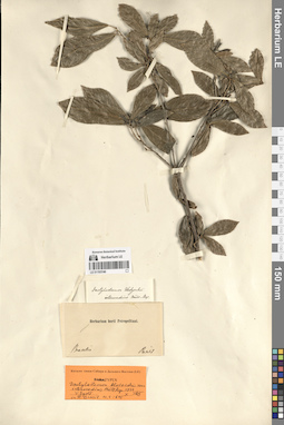 LE 01193746