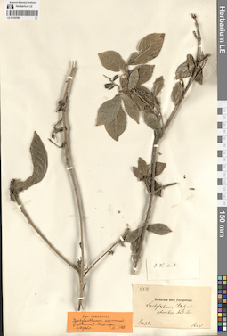 LE 01193766