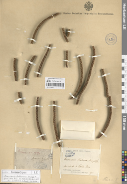 LE 01070455