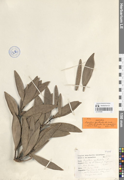 LE 01070456