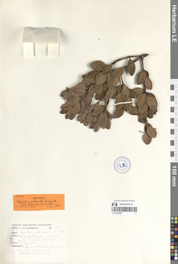 LE 01070459