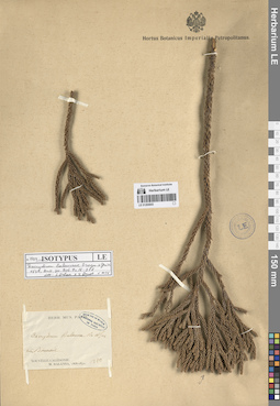 LE 01284943