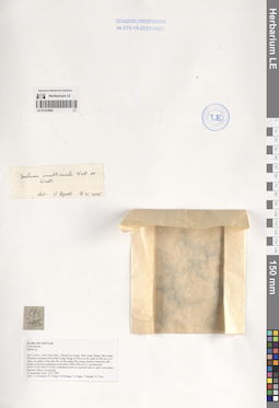 LE 01233064