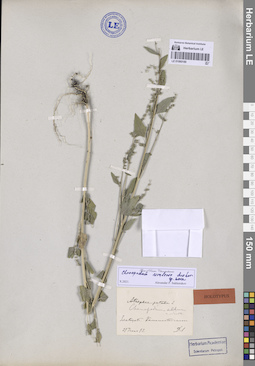 LE 01060180