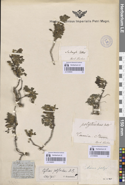 LE 01080954