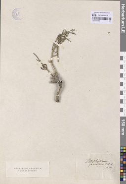 LE 01311793