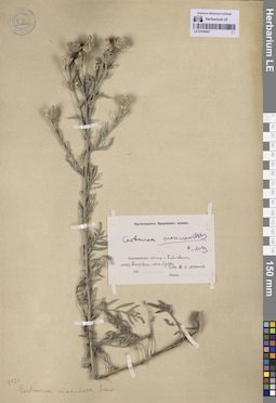 LE 01064827