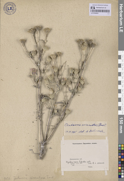 LE 01064830