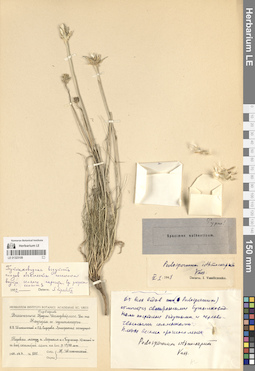 LE 01323109