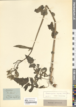 LE 01323116