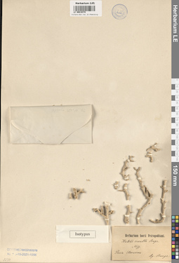 LE 00019378