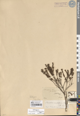 LE 01071783