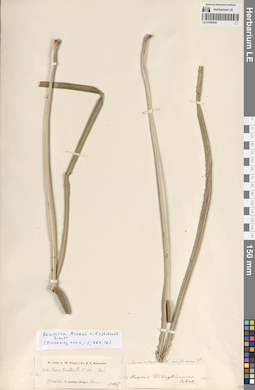 LE 01082855