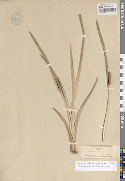 LE 01082877